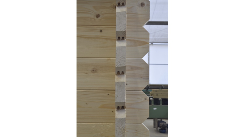 Abri de jardin en bois - 6x5 m + terrasse avec balustrade et avant-toit en bois - 42 m2