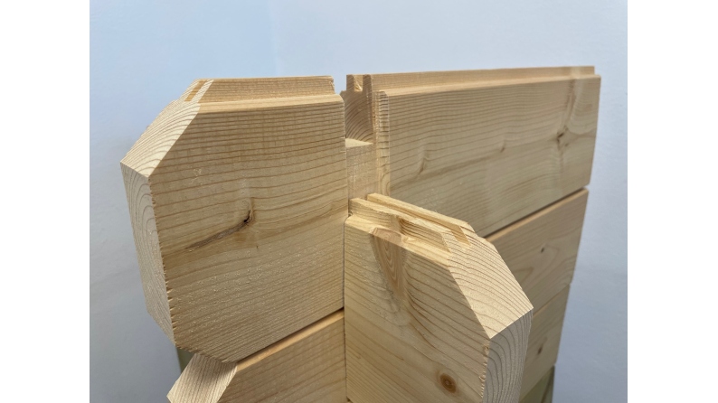 Terrasse en bois avec balustrade pour abri en bois - 18m2 - 6m x 3m - couleur: naturel